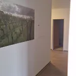 Schoene Monteurwohnung Im Zentrum Von Bingen