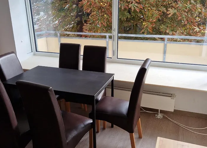 Schoene Monteurwohnung Im Zentrum Von Bingen *