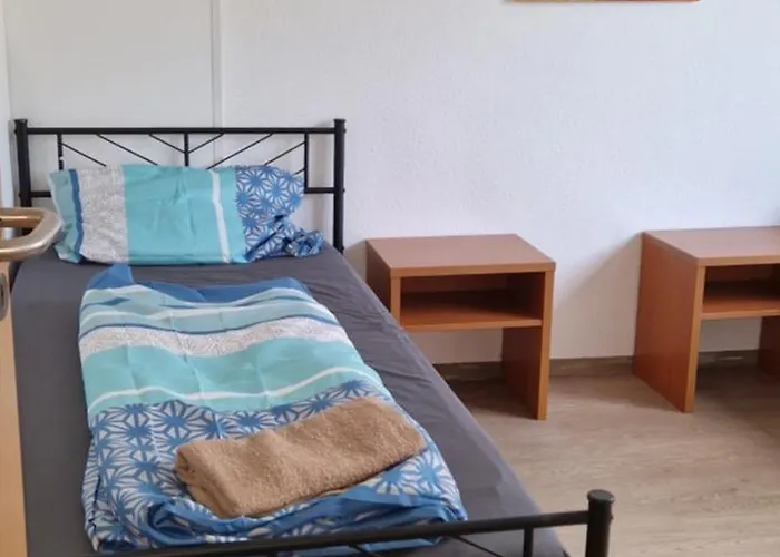 Schoene Monteurwohnung Im Zentrum Von Bingen Appartement *